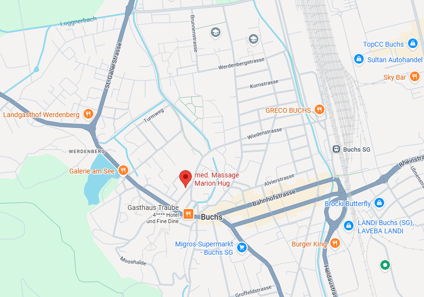 Karte Standort Buchs
